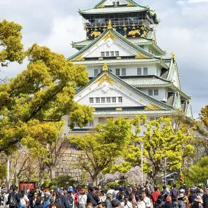 Osaka castle among trees in the park