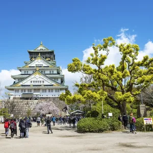 Osaka castle among trees in the park