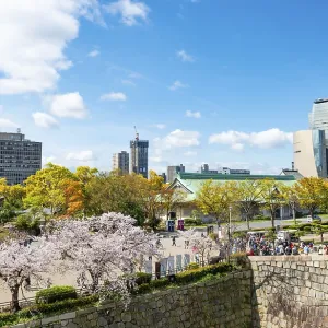 Osaka Castle Wall and Osaka Castle Park with cherry blossoms
