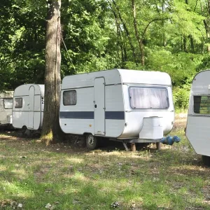 Outdoor forest trailer camp caravan cars behind trees