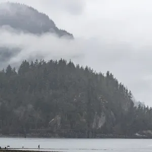 Overcast beach scene with misty mountains