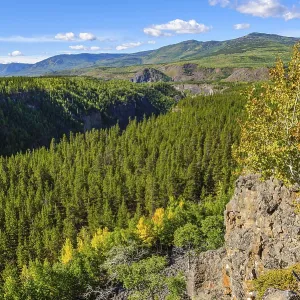 Overlooking the Stikine River canyon near Day's Ranch Overlooking the Stikine River canyon near Day's Ranch