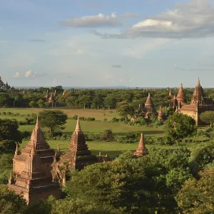 Pagoda field, temples, Zedi, Old Bagan Pagoda field, temples, Zedi, Old Bagan