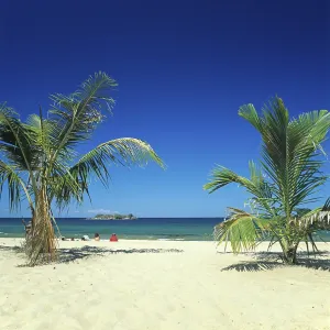 Palm beach near Kande on Lake Malawi Palm beach near Kande on Lake Malawi
