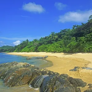 Palm tree, secluded beach on the island of Ko Lanta Palm tree, secluded beach on the island of Ko Lanta
