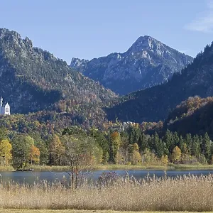 Panorama of the autumn reed bank on Schwansee Panorama of the autumn reed bank on Schwansee