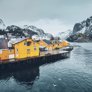 Panorama of Nusfjord authentic fishing village with yellow rorbu houses in Norwegian fjord in winter