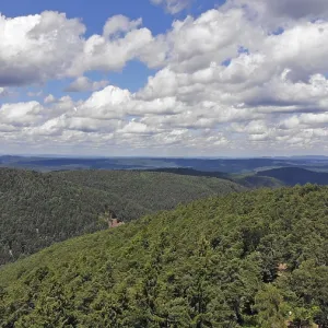 Panorama of the Palatinate Forest