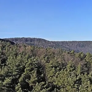 Panorama of the Palatinate Forest Panorama of the Palatinate Forest
