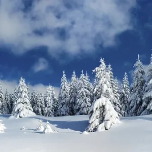 Panorama, snow-covered untouched winter landscape Panorama, snow-covered untouched winter landscape