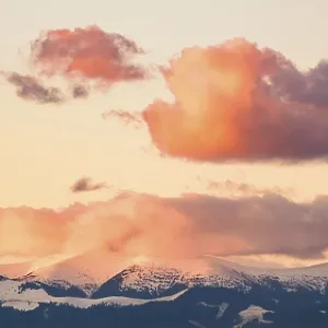 Panorama, winter landscape in the evening red