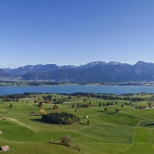 Panoramic Landscape Print of Lake Forggensee, Bavaria, Germany