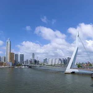 Panoramic Print of Erasmusbrug Bridge in Rotterdam