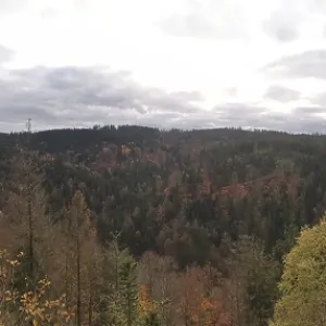 Panoramic view of an autumn forest with hills and cloudy sky Panoramic view of an autumn forest with hills and cloudy sky