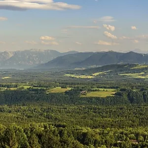 Panoramic view of an idyllic landscape with mountains in the background and extensive forests in the foreground