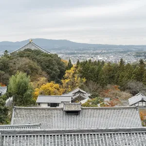 Panoramic view of Nara park traditional temple at autumn in Nara