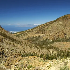 Parque Nacional de las Canadas del Teide Parque Nacional de las Canadas del Teide