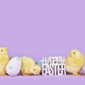 Pastel colored easter eggs, chicken and text Happy Easter on violet background with copy space
