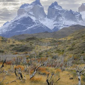 Patagonia Landscape Print - Snow-Dusted Mountains