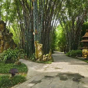 Path in bamboo forest brove in Wangjiang Pavilion (Wangjiang Tower) Wangjianglou Park Path in bamboo forest brove in Wangjiang Pavilion (Wangjiang Tower) Wangjianglou Park