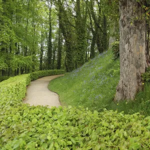A path lined with hedges leads through a green A path lined with hedges leads through a green