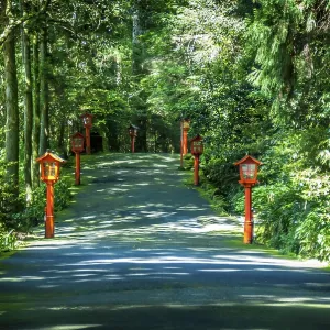 Path with red lanterns around Lake Ashi at Mount Fuji in Japan