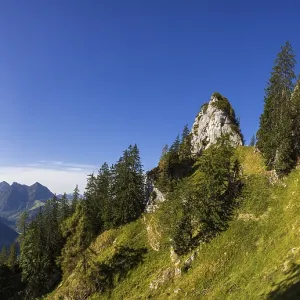 Path up the Sparber with a view of the Kleiner Sparber