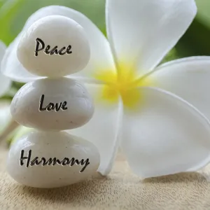 Peaceful White Zen Print with Floral Background