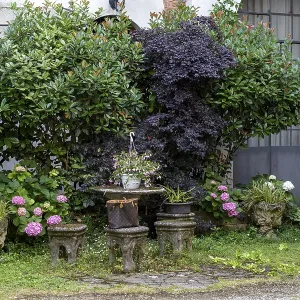 A peaceful garden escape with lush greenery flowers in stone planters A peaceful garden escape with lush greenery flowers in stone planters