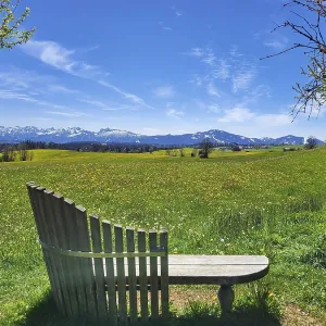 A peaceful landscape with a wooden bench in the foreground