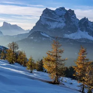 Peak of Monte Pelmo in the evening light with larch forest in the foreground