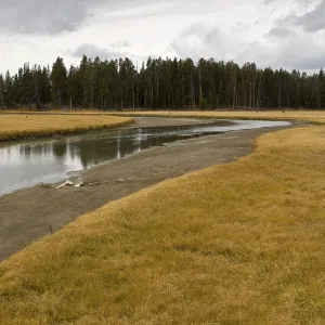 Pelican Creek, Yellowstone National Park