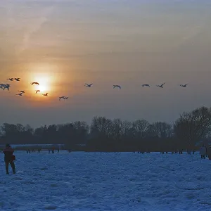 People walk across ice rink, sunset