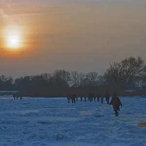People walk across ice rink, sunset