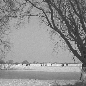 People walk across ice rink, trees