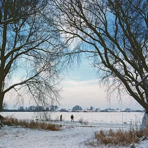 People walk across ice rink, trees