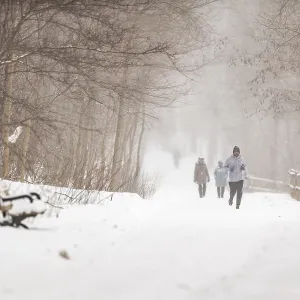 People walking down a snow-covered path in a forested winter scene in London