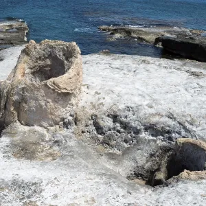 Petrified forest near Agia Maria
