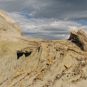 Petrified Forest Sarmiento, province Chubut