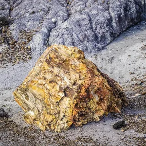 Petrified rocks of late Triassic period in Petrified Forest Nationa Park