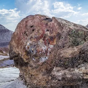 Petrified rocks of late Triassic period in Petrified Forest Nationa Park