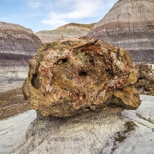 Petrified rocks of late Triassic period in Petrified Forest Nationa Park