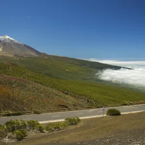 Pico del Teide, 3718m, Parque Nacional de las Canadas del Teide Pico del Teide, 3718m, Parque Nacional de las Canadas del Teide