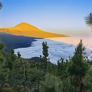 Pico del Teide at sunrise over trade wind clouds