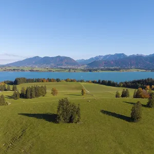 Picturesque Lake Forggensee Print, Bavaria Germany