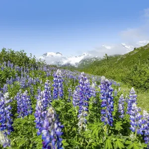 Picturesque landscape on the Richardson Highway