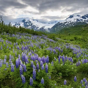 Picturesque landscape on the Richardson Highway
