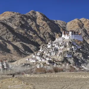 Picturesque view of Chemrey monastery from the distance