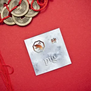 Pig zodiac card with Chinese character on a red background with coins