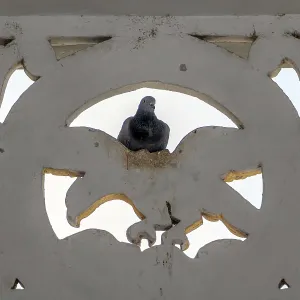 The pigeon sits on decoration on the walls of the Buddhist monastery The Shwezigon Pagoda or Shwezigon Paya